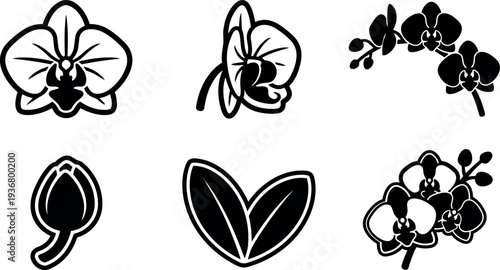 Flat design minimal black orchid icon set showing front bloom side profile branch bud and paired leaves on white background