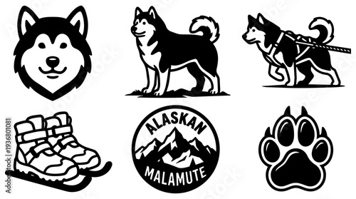 Flat design alaskan malamute icon set showing head full body harness pulling boots paw print mountain badge silhouette black white