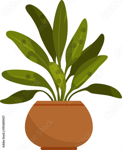 Exotic plant pot. Home botany color icon