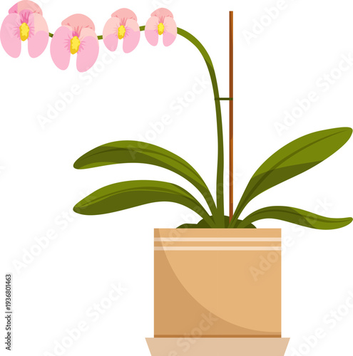 Orchid pot. Blooming flower plant color icon