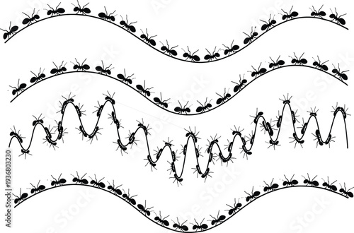 Teacher walking with group of small children in a line holding hands silhouette isolated on white background for school concept,