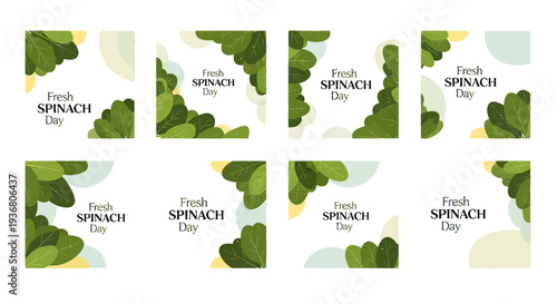 Fresh Spinach Leafy Green Vegetable Collection.