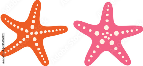 Colorful orange and pink starfish illustration isolated on light background, tropical marine life design, cute ocean animal graphic, beach themed summer vector artwork