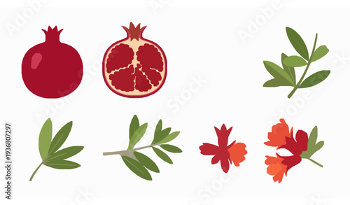 Pomegranate fruit vector set with whole half seeds leaves branches and flowers flat botanical icons