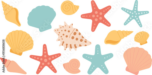 Seashells and starfish vector illustration collection isolated on light background, colorful marine life set with shells and sea stars, tropical beach theme