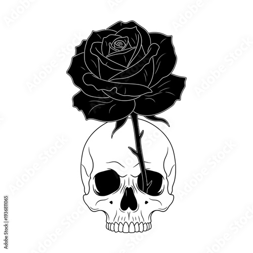 Black Rose Growing from Skull - Gothic, Macabre, Death, Life Symbolism