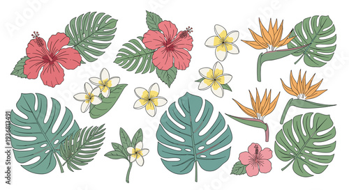 A beautiful collection of hand-drawn tropical flowers and leaves with a vintage texture, including hibiscus, plumeria, and monstera for summer designs.