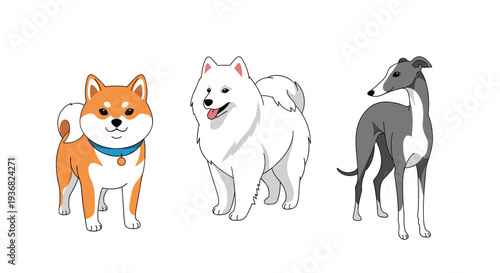 Three different dog breeds including a Shiba Inu, a Samoyed, and a Greyhound standing together in a row on a plain white background.