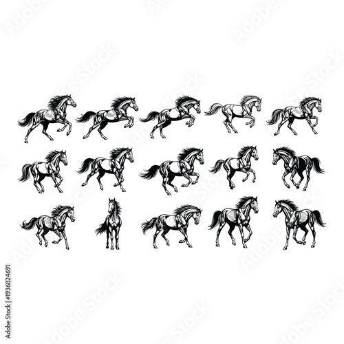 Set of black and white horse silhouettes in various dynamic poses isolated on white background