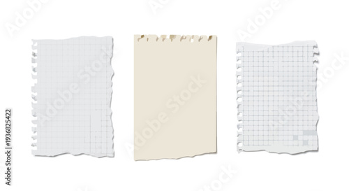 Set of 3 Torn Paper Notes Vector Illustration