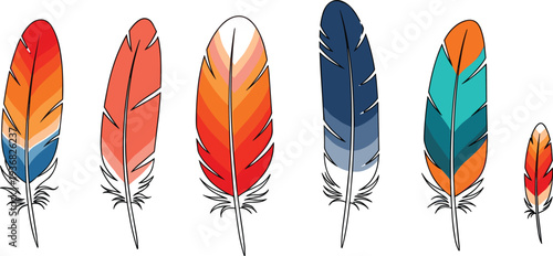 Colorful bird feathers, vibrant ethnic plume collection, decorative tribal wing elements, isolated on white background, bohemian style vector illustration, nature, art