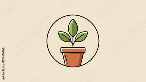 vector illustration of a plant