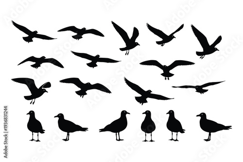 Flying and standing bird silhouettes collection isolated on white background, various wild bird poses for nature wildlife design, logo, icon and tattoo elements.