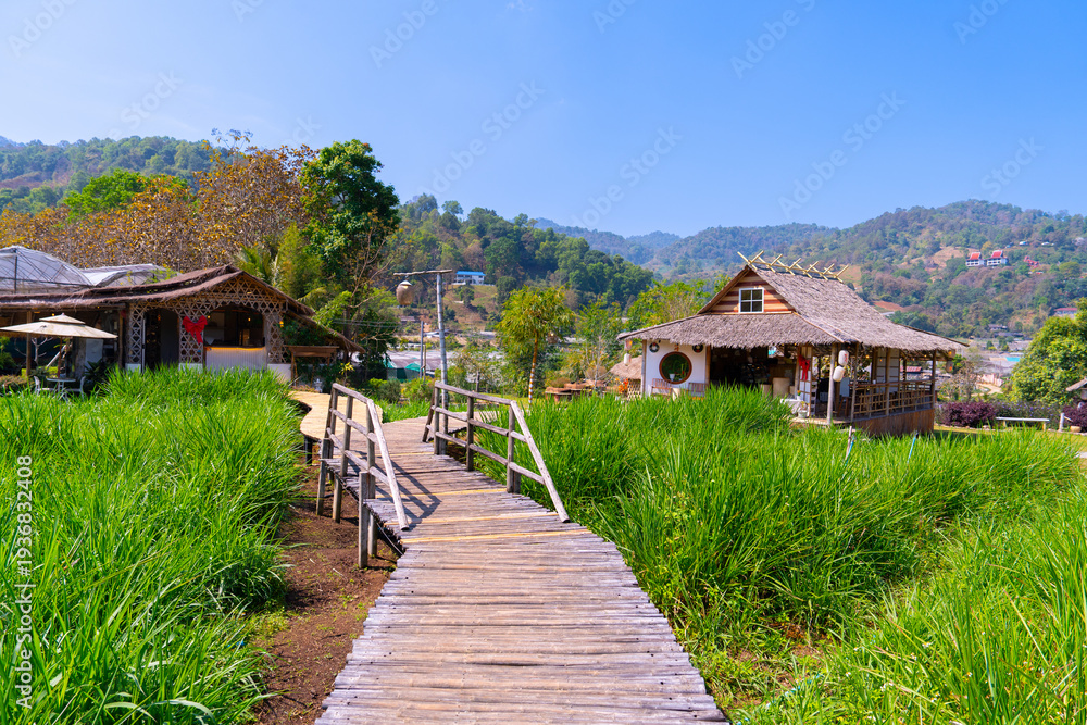 Fototapeta premium Wooden pathway through green grass leads to rustic houses with thatched roofs under clear blue sky in countryside. Japanese style