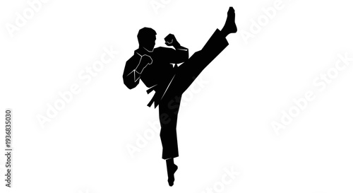 Silhouette of a martial artist performing a high kick