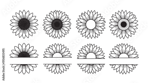 Sunflowers hand drawn line art set with full and split petal designs for graphic elements and monograms