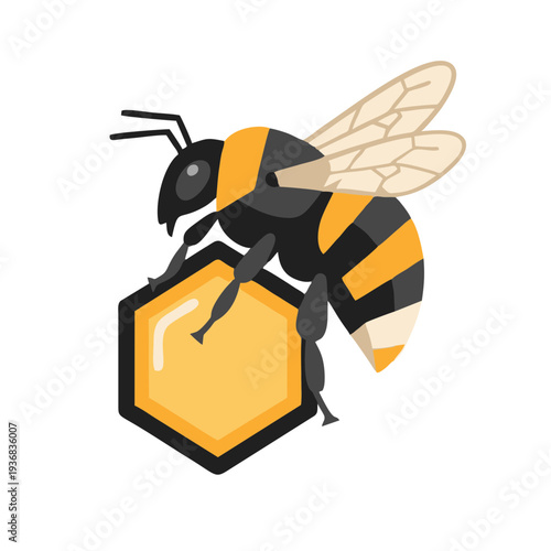 honey bee on honeycomb cell vector illustration spring pollination