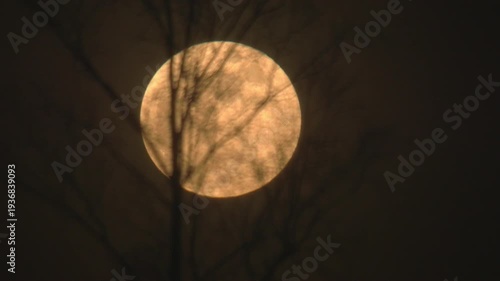 raising natural full moon, nature is cool series