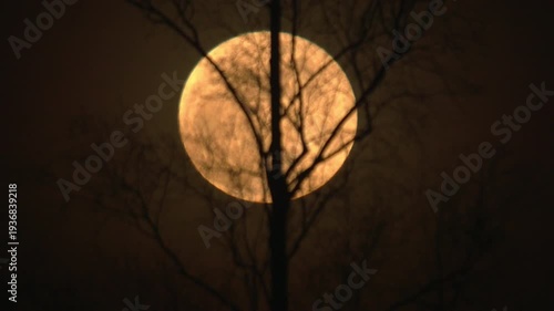 raising natural full moon, nature is cool series