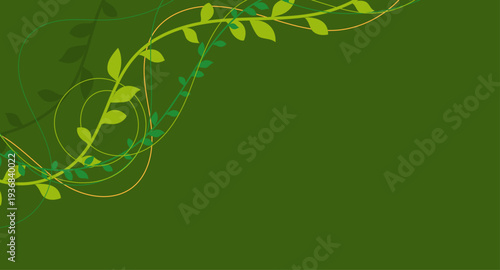 natura, rami, piante, rampicanti, edera, liane, vivaio, giardino