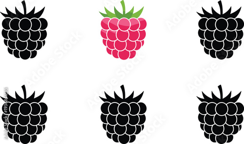 Raspberry fruit vector icon set, fresh raspberry illustration with silhouette and color styles, sweet organic berry collection