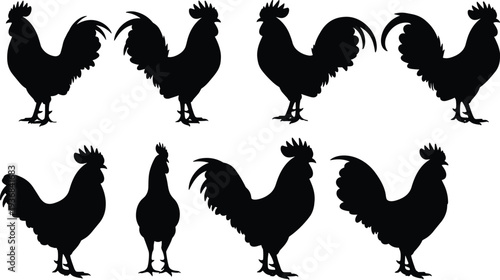 Rooster silhouette collection, chicken farm animal vector set, black rooster icons isolated, poultry symbol design for agriculture and rural themes