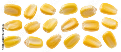 Yellow corn kernels on white maize grains food