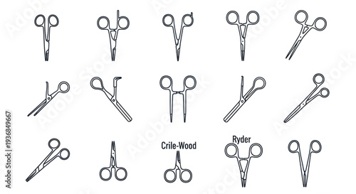 Collection of Surgical Scissors in Various Designs and Angles.