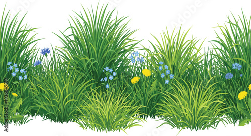 Green Grass Border with Colorful Wildflowers Including Blue Cornflowers and Yellow Dandelions for Spring Nature Meadow Garden Background and Summer Botanical Vector