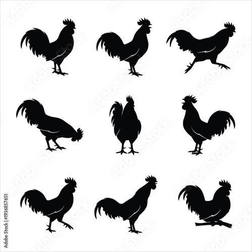 Rooster Silhouette Vector Collection – Set of 9 Rooster and Chicken Poses for Farm Logos and Rural Design