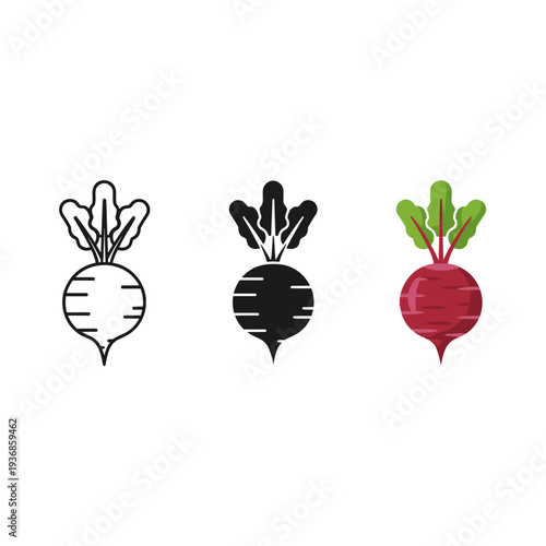 Beetroot Icon Set Food Vegetable Graphics