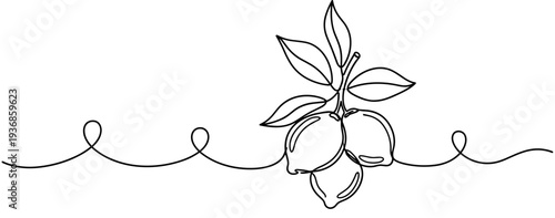 Lemon cluster hanging in continuous line illustration. none editable strokes