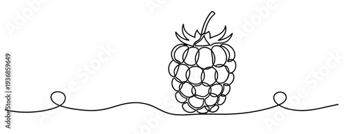 Raspberry rendered in continuous line sitting on decorative line. none editable strokes