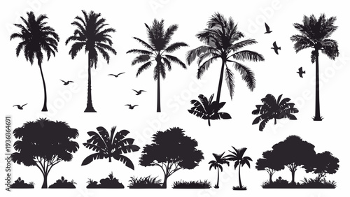 Black silhouettes of palm trees and tropical plants with flying birds