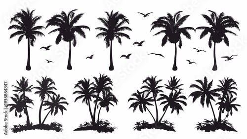Silhouettes of palm trees and birds in tropical landscape