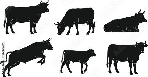 Cow Silhouette Collection Farm Livestock Cattle Animal Vector Illustration Set