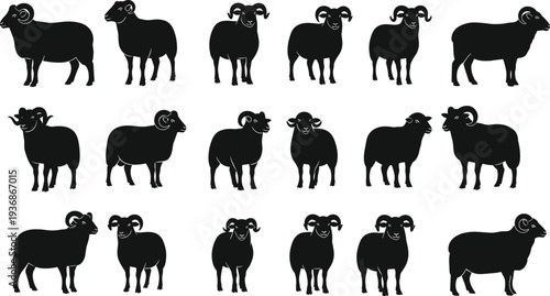 Ram Sheep Silhouette Collection Farm Livestock Animal Vector Illustration Set