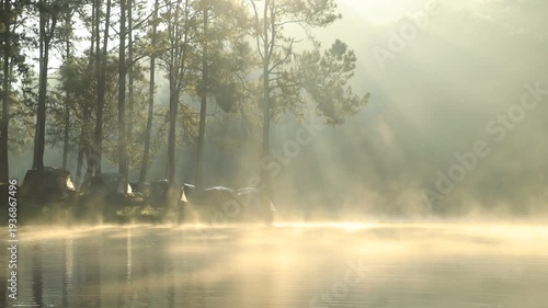 Morning mist over tranquil lake nature photography serene environment captured at dawn