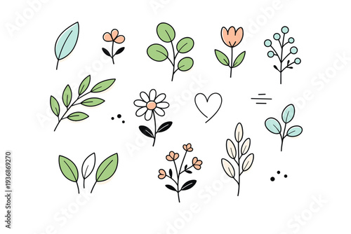 Contemporary plant elements. Individual leaves, stems, and blossoms displayed as clean vector objects. Modern, natural aesthetic focused on simplicity and