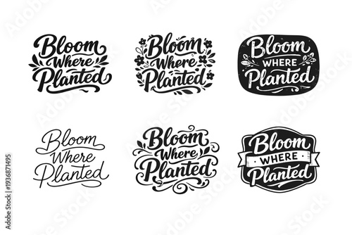 Bloom Where Planted. Set lettering. harmonious lettering variations of the same emblematic concept, each with different artistic interpretation (Bold