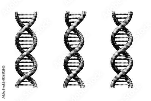 DNA helix infographic element. A double helix DNA form with consistent spiral spacing is shown from three different angles: front view, angled view, and