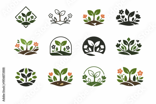 Nature vibe package design with flowers plants. Icon set. Set Logo of Nature vibe package design with flowers plants: sprouting plant. harmonious