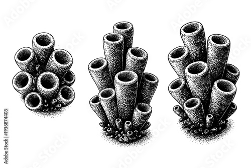Coral reef tube coral, vertical tubular coral cluster shown from top view, side view, and three-quarter angle with realistic hollow forms. Black and white dot