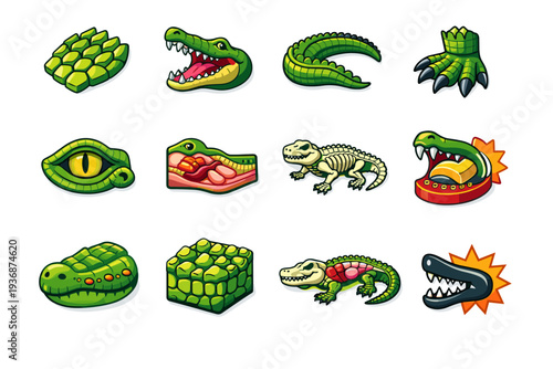 Crocodile Anatomy. Colorful isometric vector icons set of crocodile anatomy: armored scales, powerful jaws, sharp teeth, muscular tail, clawed feet, eye and