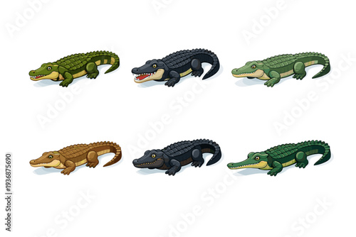 CrocodileSpecies. Isometric flat vector icons set of CrocodileSpecies: nile crocodile, saltwater crocodile, american crocodile, freshwater crocodile, dwarf