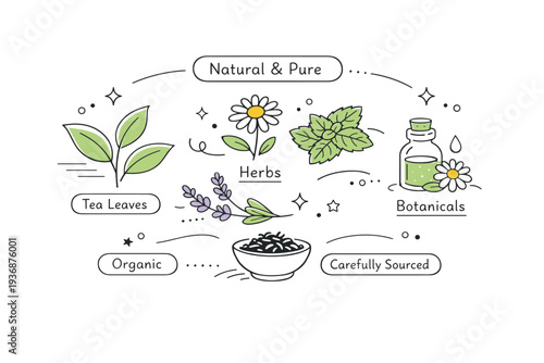 Tea leaves and botanicals. A minimalist editorial composition with tea leaves, herbs, and simple labels, expressing natural origins and care. Open space,