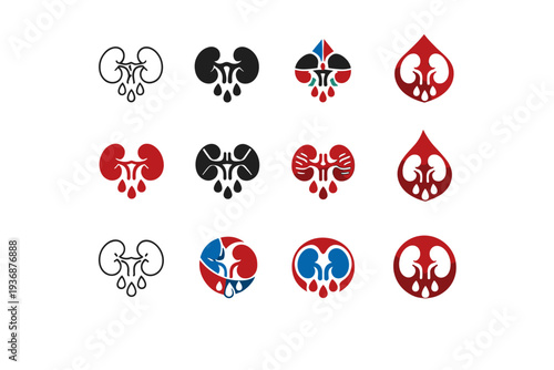 Kidneys filtering blood. Icon set. Set Logo of Kidneys filtering blood: paired kidney shape. harmonious logo variations of the same emblematic concept, each