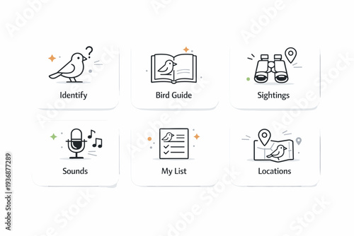 Bird watching UI icons. A practical editorial scene showing bird watching line icons used inside simple app interface cards or labels. The atmosphere is clean