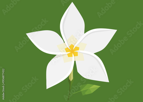 White jasmine flower vector illustration on green background. Minimalist white tropical bloom with yellow center flat design. Simple floral icon of a white five-petal flower with leaf