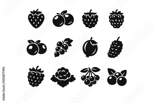 Berries. Solid icon set of Berries: strawberry, blueberry, raspberry, blackberry, cranberry, currant, gooseberry, mulberry, boysenberry, cloudberry,